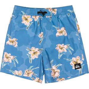 Quiksilver Детски бордшорт Quiksilver Kid's Everyday Straight Volley 14 Boardshorts - Backyards Coronet Blue - размер 16 Years (750-2254-0211)