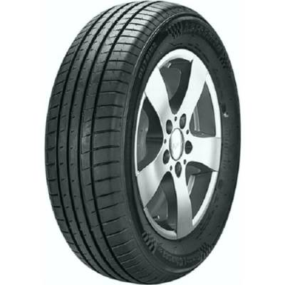 Autogreen Smart Chaser SC1 195/55 R16 91V
