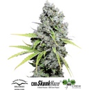 Dutch Passion CBD Skunk Haze semena neobsahují THC 5 ks