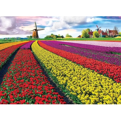 EuroGraphics Pole tulipánů HDR 1000 dílků