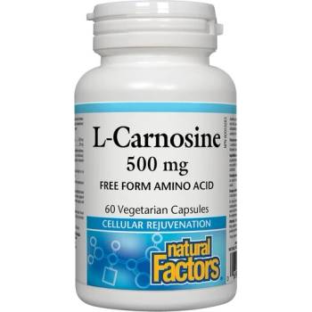 Natural Factors Л-Карнозин 500 mg 60 V капсули | Natural Factors (2805 NF)