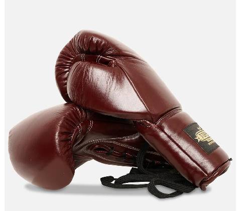 TopBoxer Alien