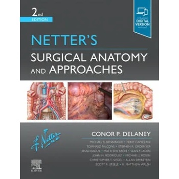Image 1 of Netter's Surgical Anatomy and Approaches
