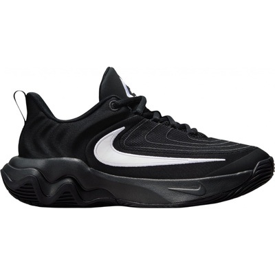 Nike Giannis Immortality 4 (GS) fz6734-001