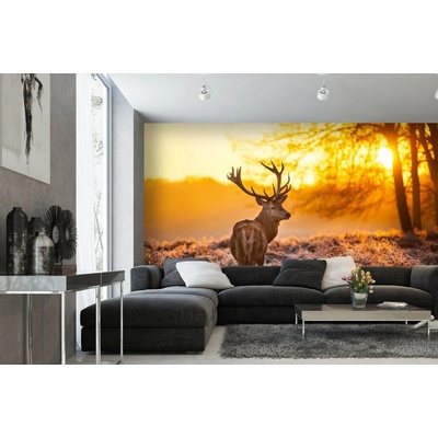 Dimex MA-5-0619 Samolepicí vliesová fototapeta na zeď Jelen při západu slunce rozměry 375 x 250 cm
