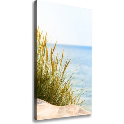 Vertikálny foto obraz na plátne Morské duny 50x100 cm
