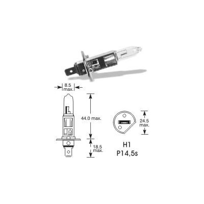 TESLight H1 P14,5s 12V 55W
