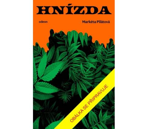 Hnízda