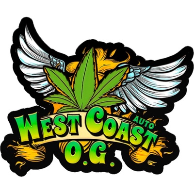 420 Fast Buds West Coast OG AUTO semena neobsahují THC 3 ks