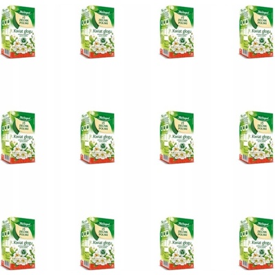 Herbapol Bylinkový čaj Poľský kvet hlohu 20 x 2 g