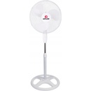 Esperanza EHF002WE