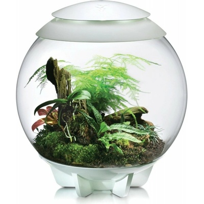 Biorb Air terárium sivé 60 l