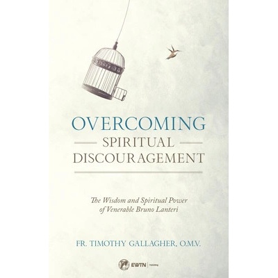 Overcoming Spiritual Discouragement Fr Timothy GallagherPaperback