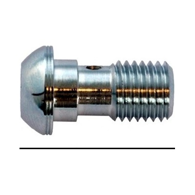 Banjo skrutku POWERHOSEPLUS 110100DC 10x1.00mm chróm