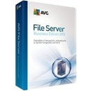 AVG File Server Edition 2013 2 lic. 1 rok DVD (FSCBN12DCZS002)