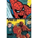 Marvel Visionaries Stan Lee