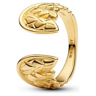 Pandora PAN164222C00