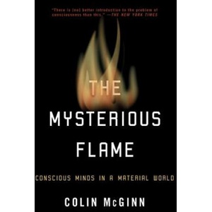 Mysterious Flame | Colin McGinn (ISBN: 9780465014231)