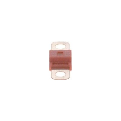 Poistka BOSCH 1 987 531 010