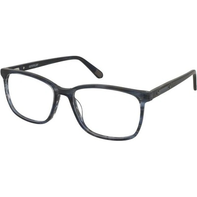 Caterpillar CTO 3095 106