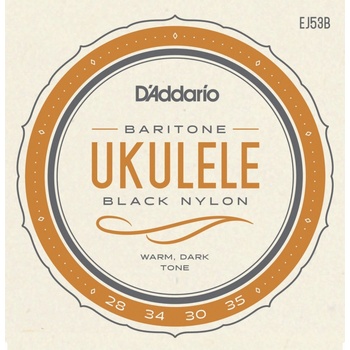 D'addario EJ53B