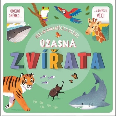 Úžasná zvířata - Přes 60 odklápěcích okének - Helen Catt