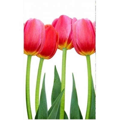DIMEX MS-2-0126 Vliesová fototapeta na zeď Tulipány, rozmery 150 x 250 cm