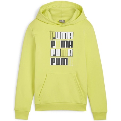 PUMA Essentials + logo lab hoodie b 140