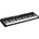 Casio CT S200