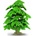 CollectA Ginkgo Biloba Tree Figure