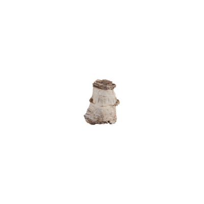 Sera Kámen pagoda XXL 6 kg