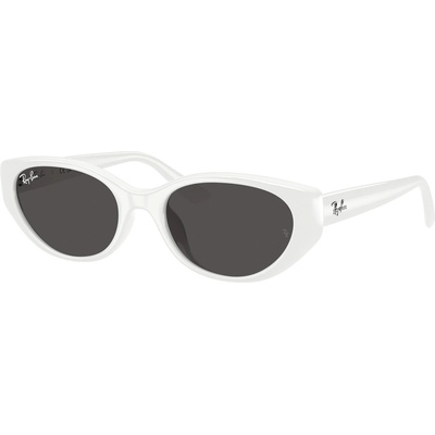 Ray-Ban rb4457d 677287 (rb4457d 677287)