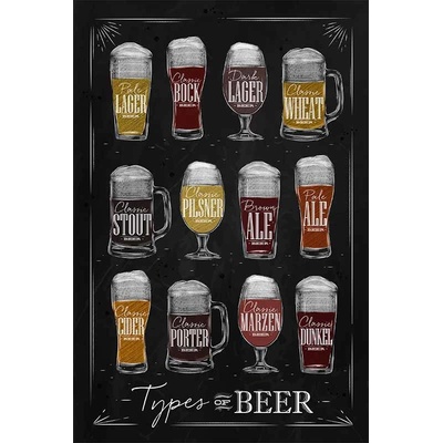 Ceduľa Types of Beer 40 x 30 cm Plechová tabuľa