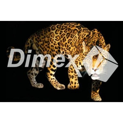 DIMEX | Obraz na skle | Panter GL-45-013 | 45 x 30 cm