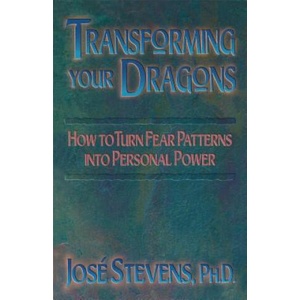 Transforming Your Dragons | Jose Stevens (ISBN: 9781879181175)
