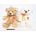 SUN-DAY Teddy bear with application 2 colors