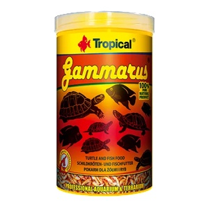 Tropical Gammarus - храна за костенурки