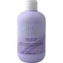 Inebrya Grey By Day Shampoo 300 ml