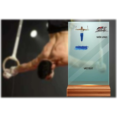 Skleněná trofej na dřevěném podstavci | Gymnastika kruhy Výška: 17 cm