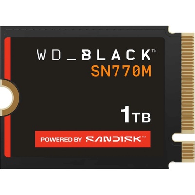 WD BLACK SN770M 1TB, WDS100T3X0G