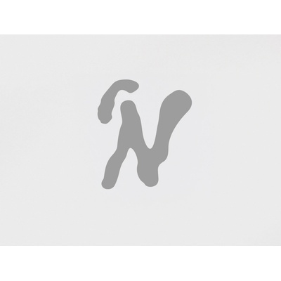 papelote Reflexní samolepka Monogram Varianta: N – Hledejceny.cz