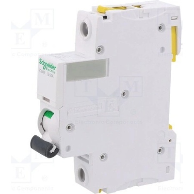 Schneider Electric 63A B A9F03163