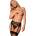 Passion Obssura Garter Belt Black S/M