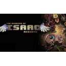 Hry na PC The Binding of Isaac Rebirth