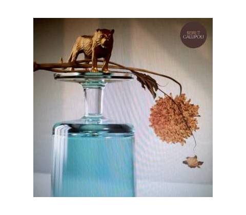 BEIRUT - GALLIPOLI LP