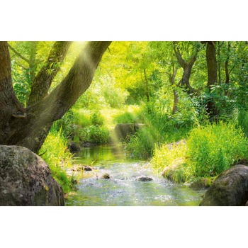 DIMEX ART s. r. o Флизелинов фототапет поток в тропическа гора 375 x 250 см