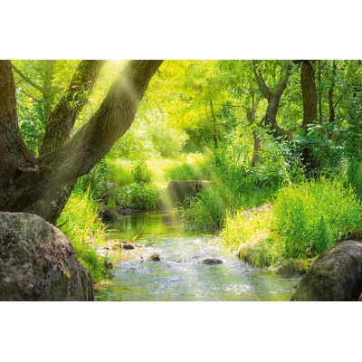 DIMEX ART Флизелинов фототапет поток в тропическа гора 375 x 250 см