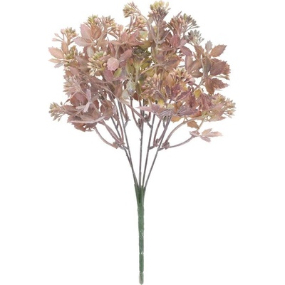 ZELEŇ SEDUM BORDOVO-ZELENÉ 30CM