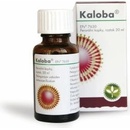 Voľne predajné lieky Kaloba gtt.por.1 x 20 ml