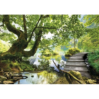 Postershop Obraz na plátně: Lesní tůně (3) - 75x100 cm
